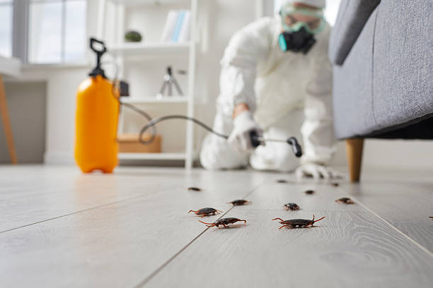 Commercial Kitchen Cockroach Control in Fort Mitchell