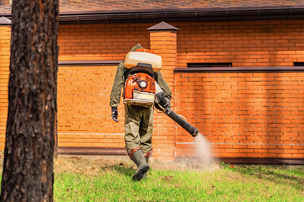 Cockroach Follow-Up and Monitoring in Fort Mitchell